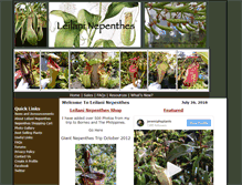 Tablet Screenshot of leilaninepenthes.com